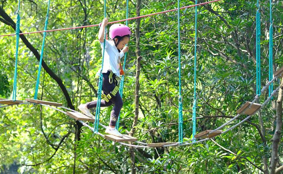 丛林探险作文600字五年级