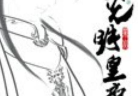 《光明皇帝》读后感400字