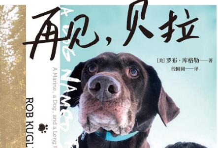 《再见，贝拉》读后感1000字