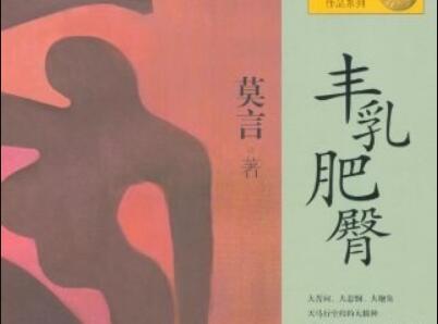 《丰乳肥臀》读后感300字