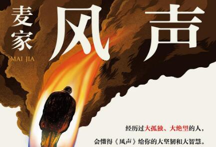 《风声》读后感800字