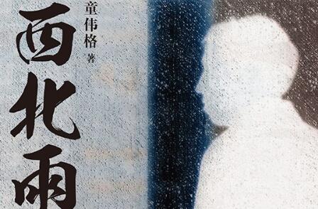 《西北雨》读后感300字