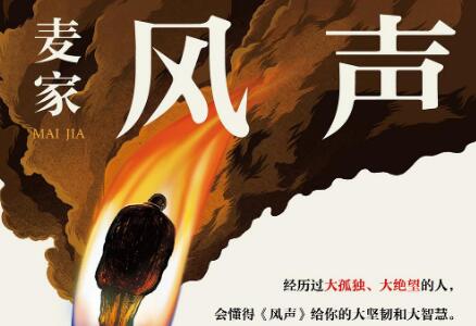《风声》读后感300字