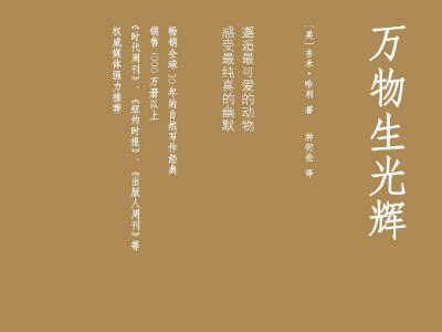《万物生光辉》读后感600字