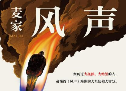 《风声》读后感500字
