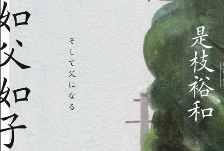 《如父如子》读后感400字