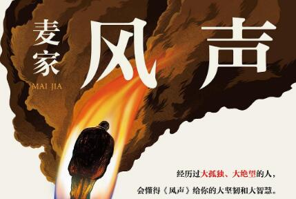 《风声》读后感600字