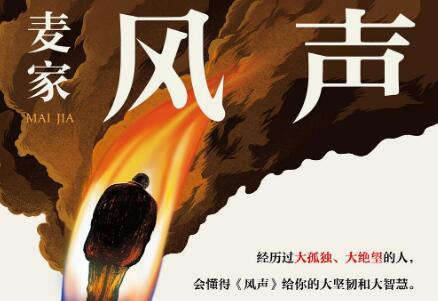 《风声》读后感500字
