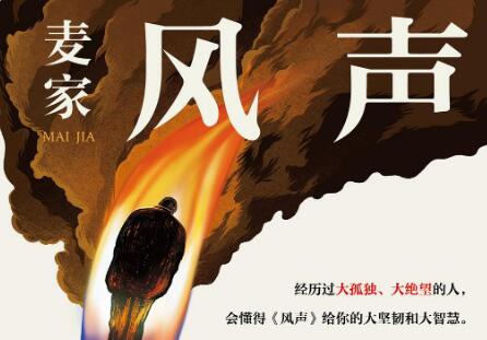 《风声》读后感600字