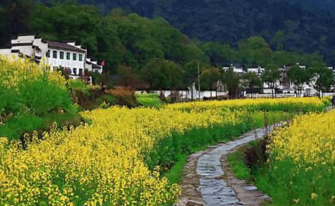 这里也有乐趣作文700字初三