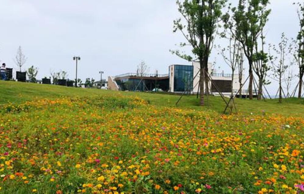 收获满满的一天作文600字