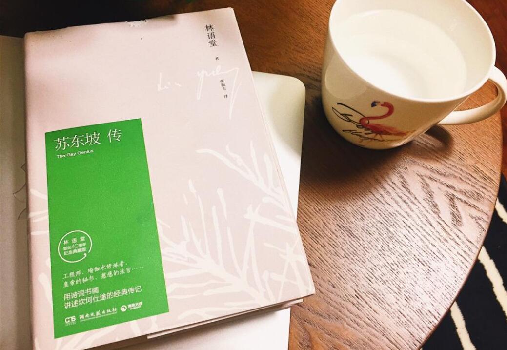 读《苏东坡传》有感800字