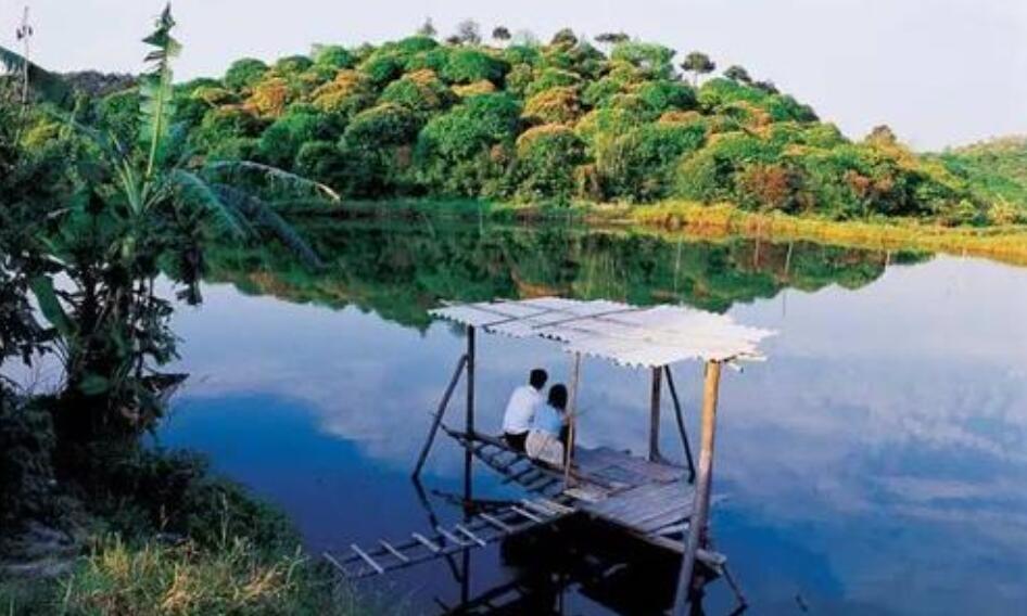 一件有趣的事作文400字