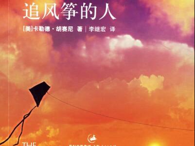 《追风筝的人》读后感400字