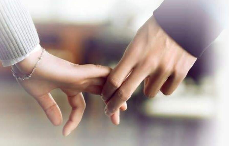 牵手作文800字初中