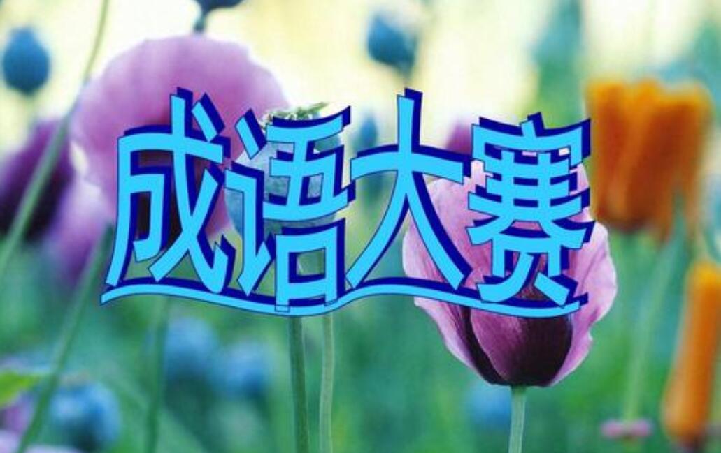 成语大赛.jpg