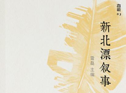 《新北漂叙事》读后感1000字