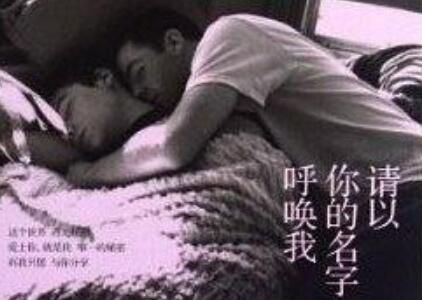 《请以你的名字呼唤我》读后感400字