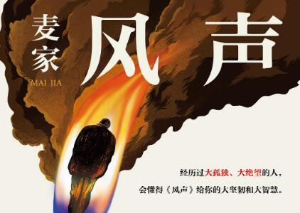 《风声》读后感500字