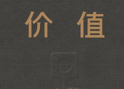《价值》读后感500字
