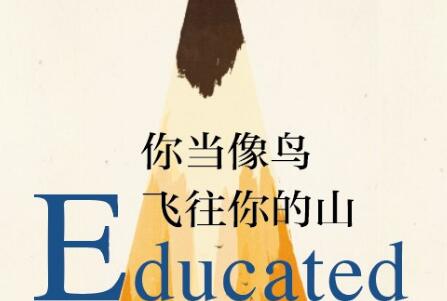 《你当像鸟飞往你的山》读后感500字