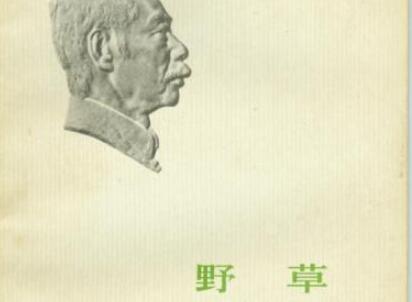 《野草》读后感800字