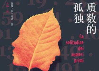 《质数的孤独》读后感400字
