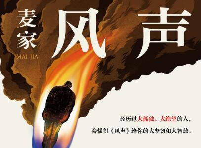 《风声》读后感600字