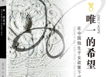 《唯一的希望》读后感1000字