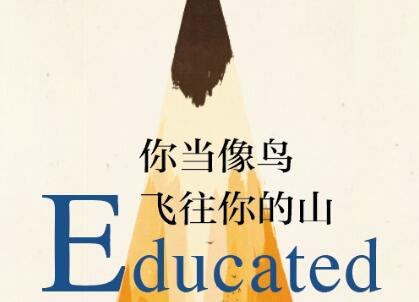 《你当像鸟飞往你的山》读后感1000字