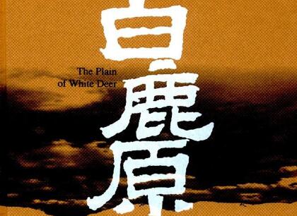 《白鹿原》读后感800字