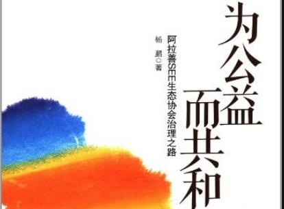 《为公益而共和》读后感500字