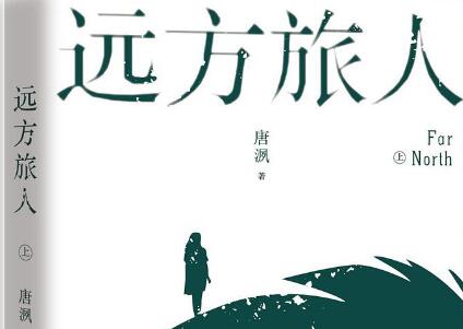 《远方旅人》读后感800字