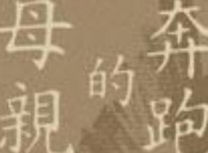 《奔跑的母亲》读后感1000字