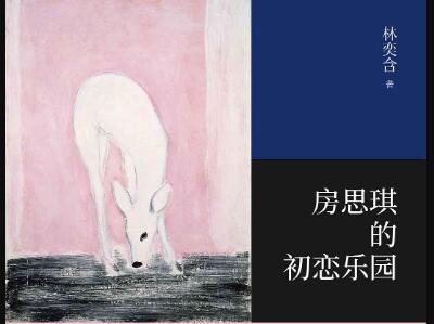 《房思琪的初恋乐园》读后感400字