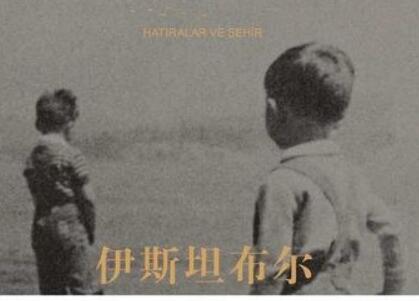 《伊斯坦布尔》读后感400字