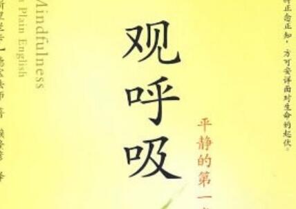 《观呼吸》读后感400字