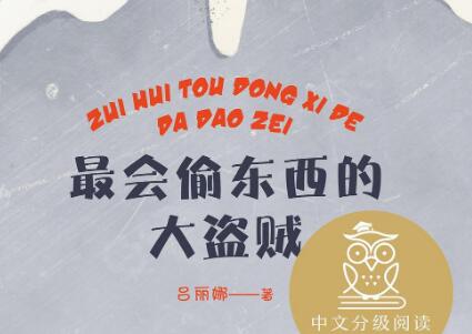 《最会偷东西的大盗贼》读后感400字