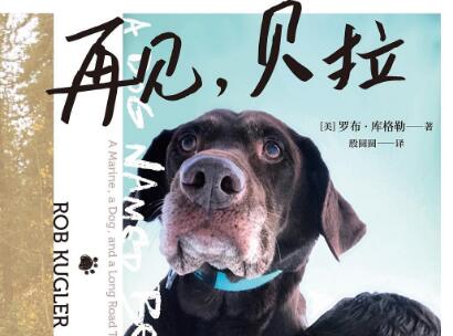 《再见，贝拉》读后感1000字