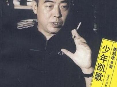 《少年凯歌》读后感600字