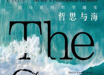 《哲思与海》读后感300字