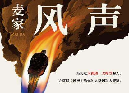 《风声》读后感400字