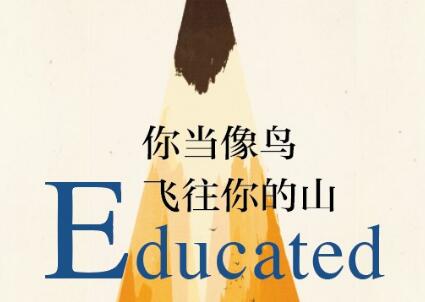 《你当像鸟飞往你的山》读后感400字