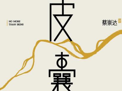 《皮囊》读后感300字