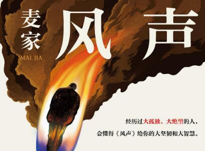 《风声》读后感400字