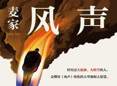 《风声》读后感400字