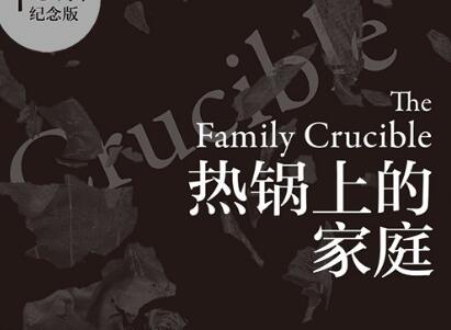 《热锅上的家庭》读后感500字