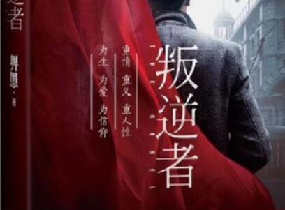 《叛逆者》读后感1500字