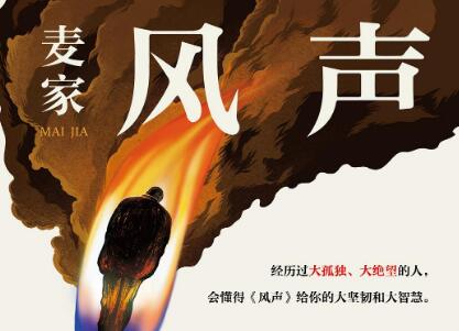 《风声》读后感600字