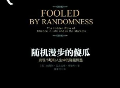 《随机漫步的傻瓜》读后感400字